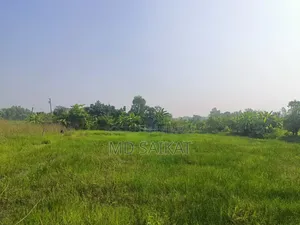 Land Sale 4 Decimal Agricultural Time Land