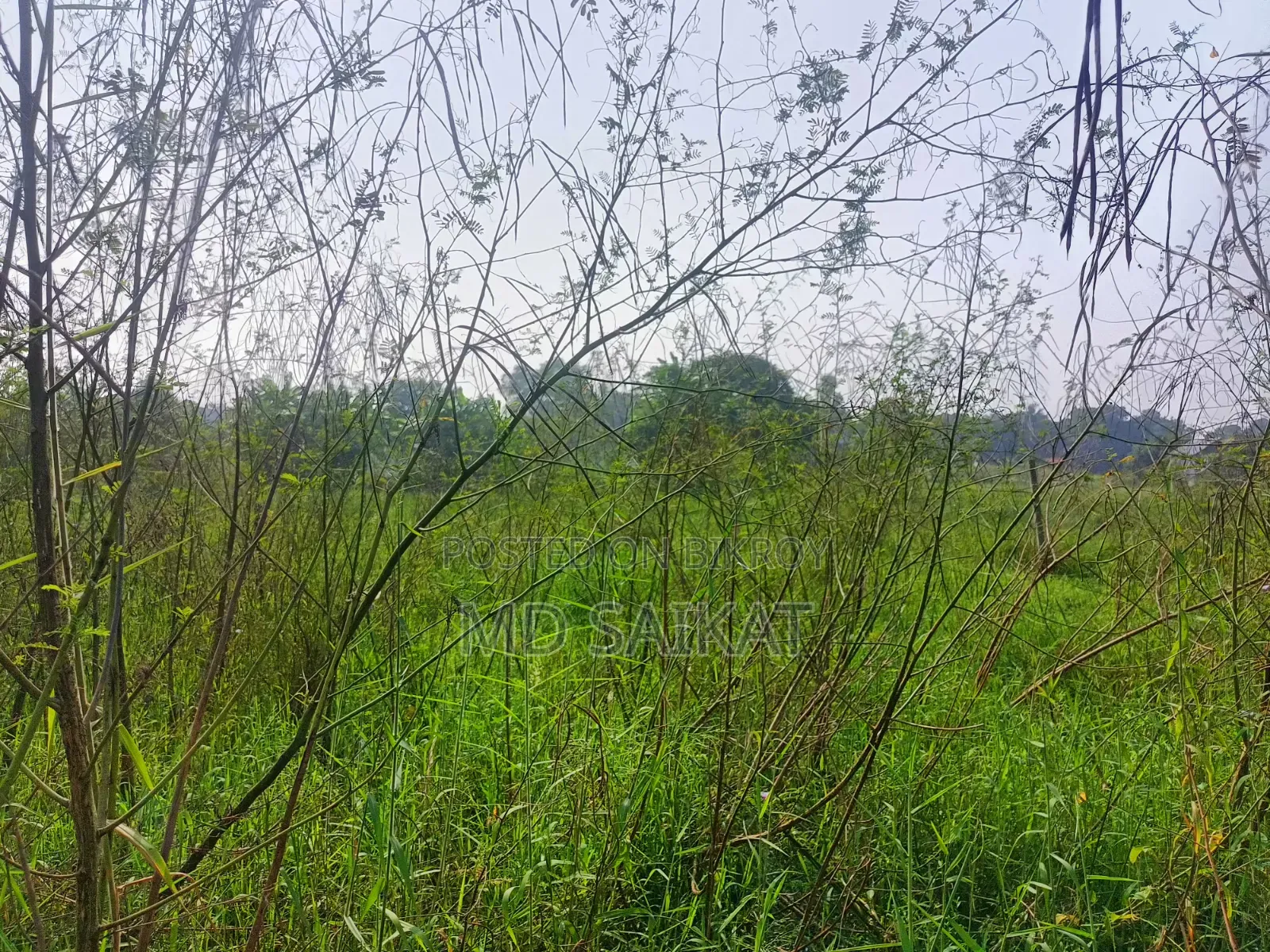 Land Sale 4 Decimal Agricultural Time Land