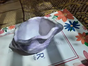 শঙ্খচূড় ( হোল্ডার)