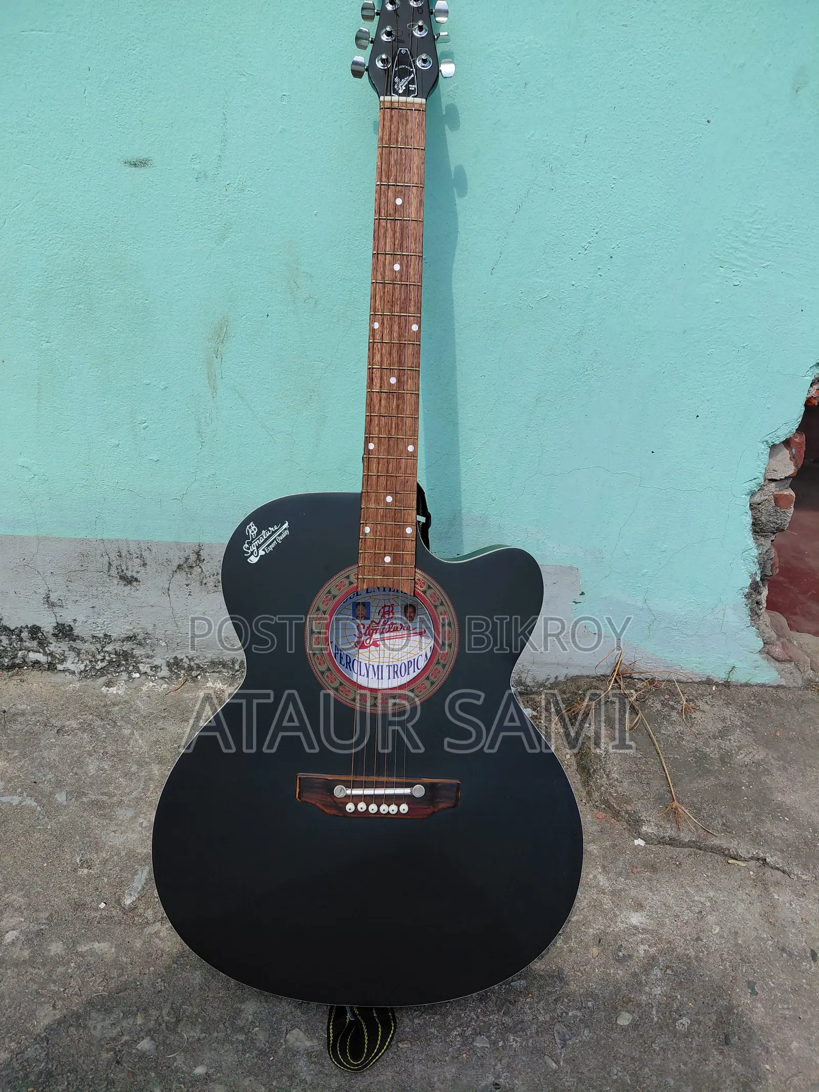 Signature Guitar