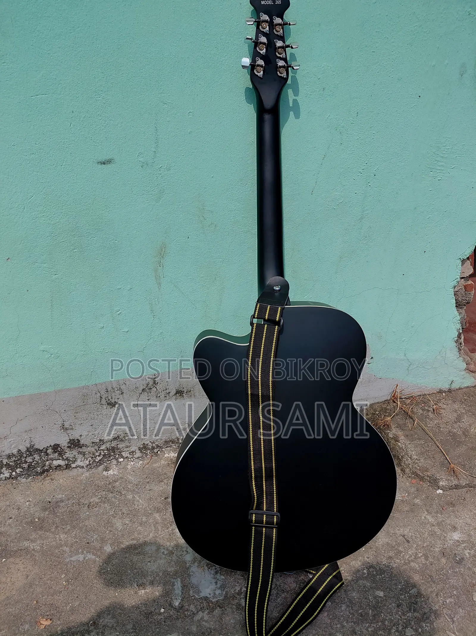 Signature Guitar
