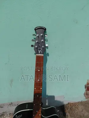 Signature Guitar