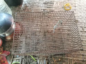 Will sell one piece cage