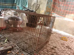 Will sell one piece cage