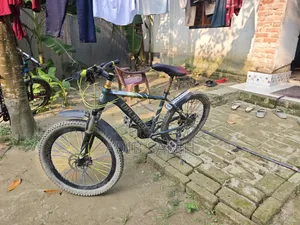 ইউপ্লেড সাইকেল
