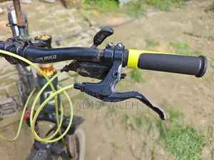 ইউপ্লেড সাইকেল