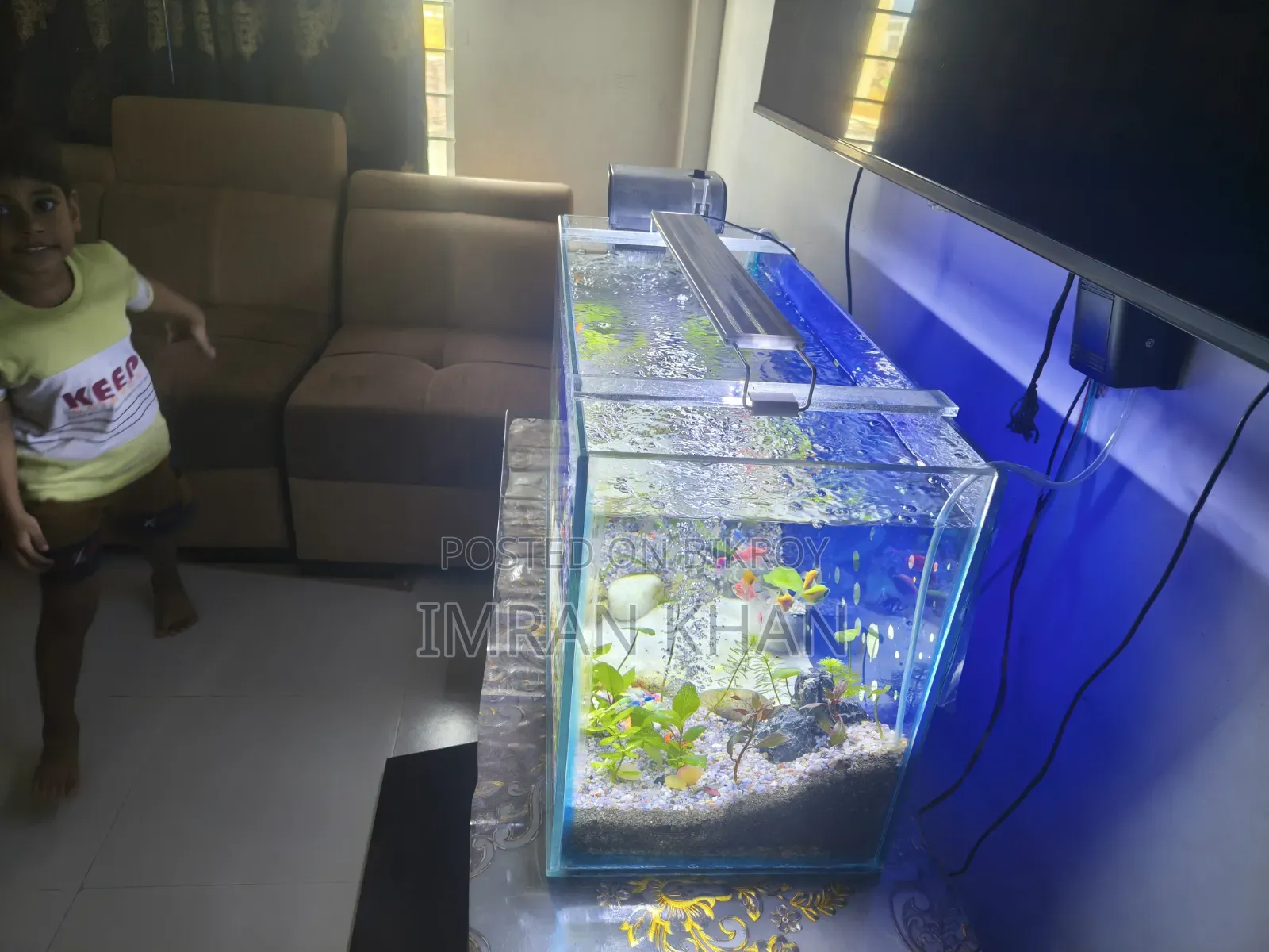 মাছসহ প্লান্টেড অ্যাকোয়ারিয়াম