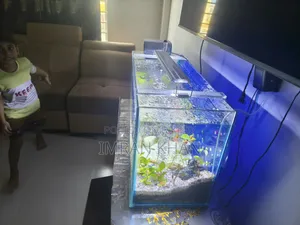 মাছসহ প্লান্টেড অ্যাকোয়ারিয়াম