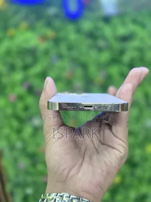 অ্যাপল আইফোন ১৩ প্রো ১২৮ জিবি গোল্ড