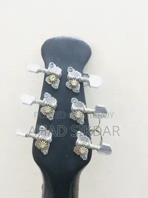 সিগনেচার গিটার