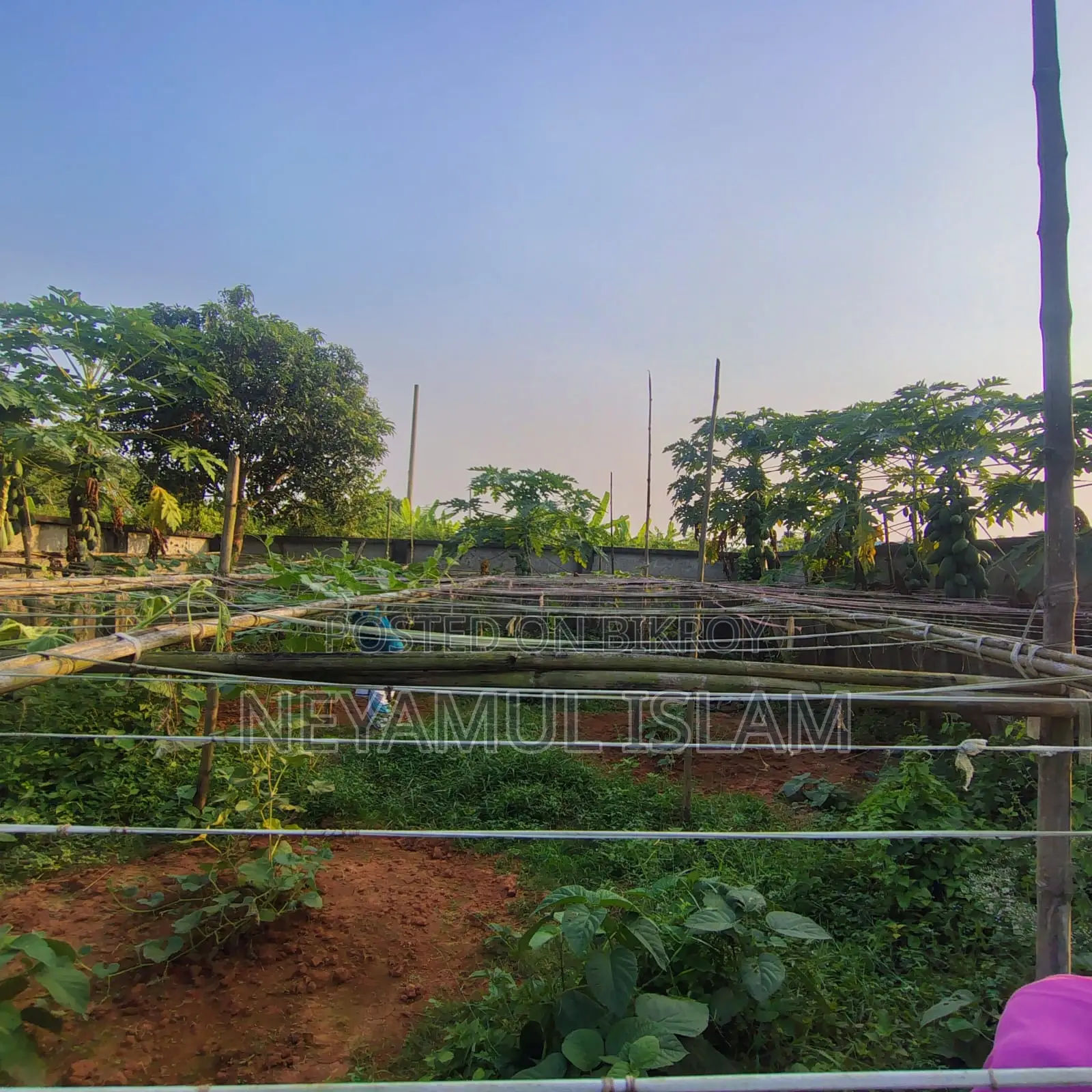 3 Katha Land Sell at Purbachal Sector 25