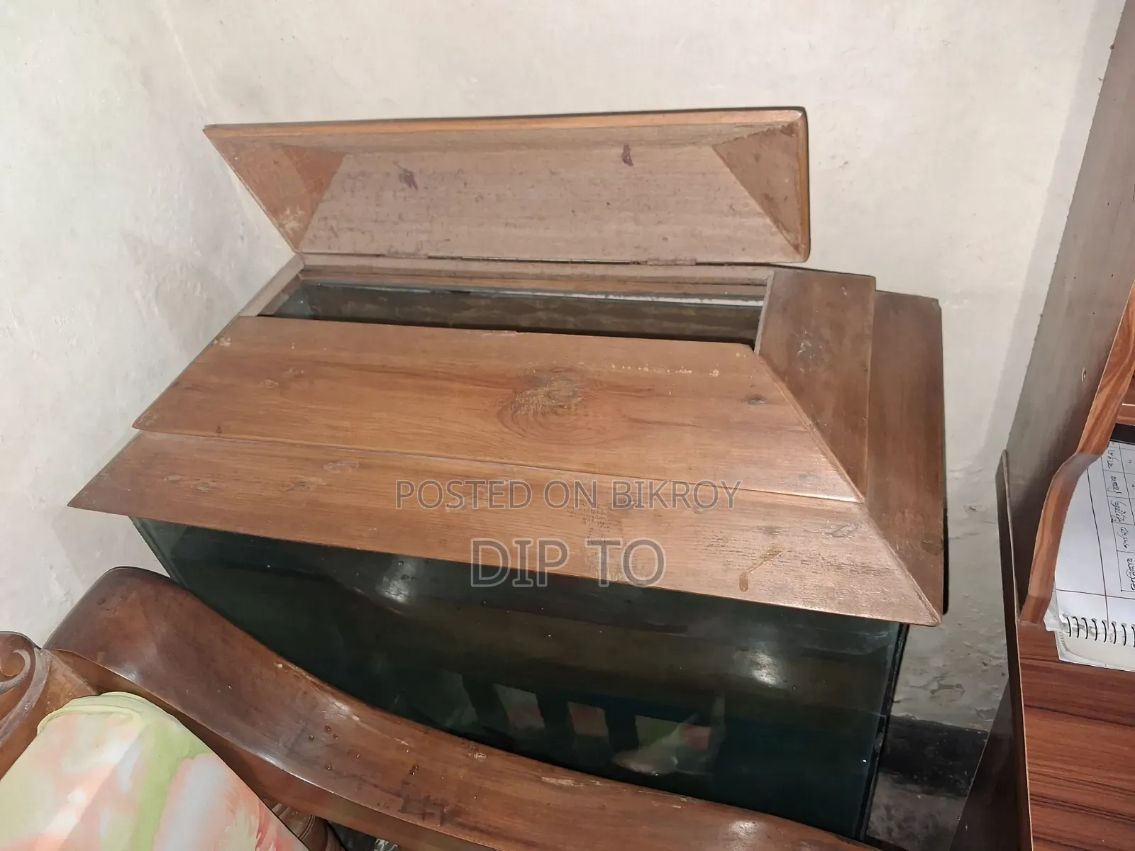 অ্যাকোয়ারিয়াম হাঙ্গর