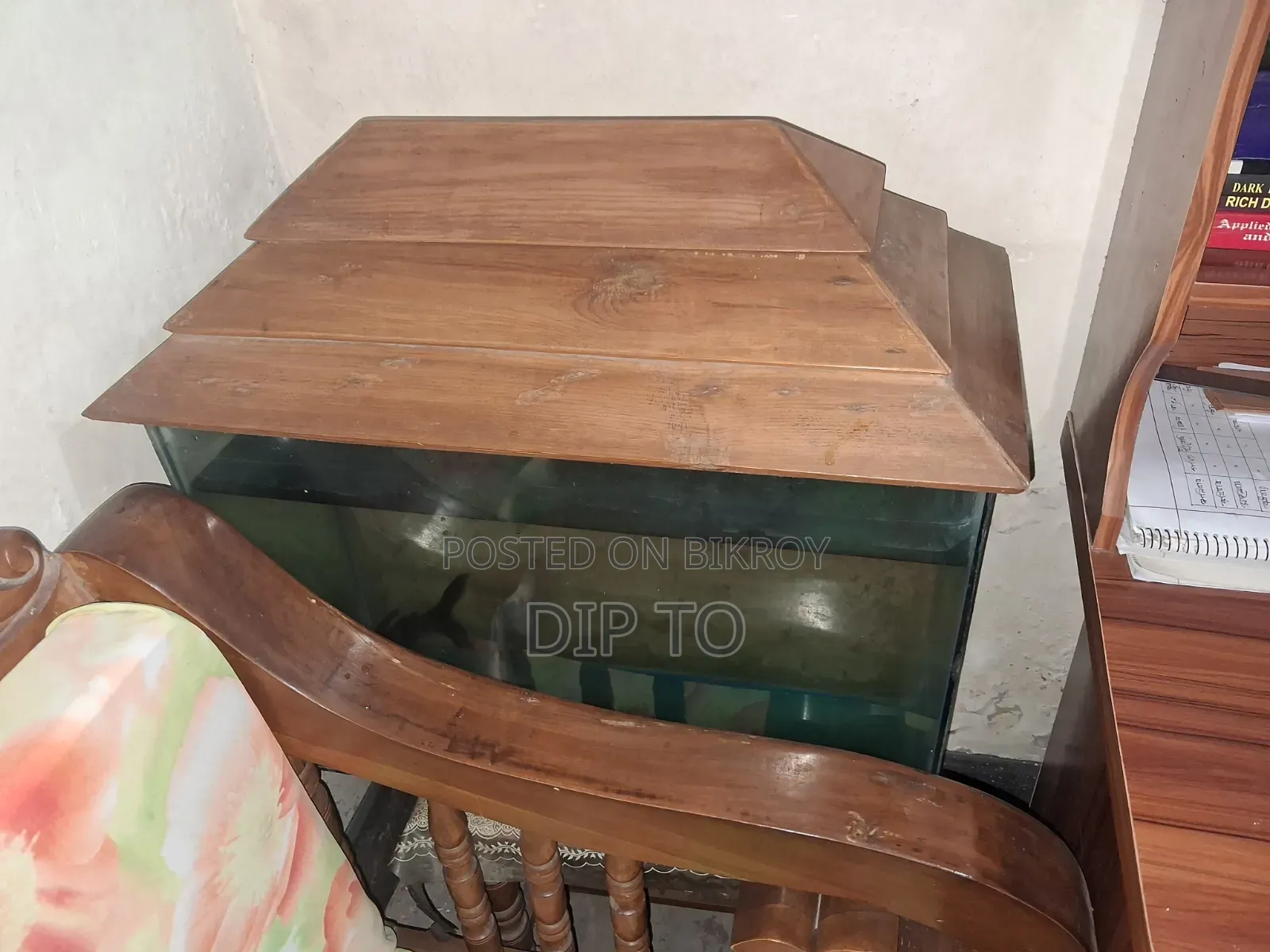 অ্যাকোয়ারিয়াম হাঙ্গর