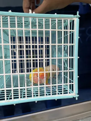 Love Bird 1 Pair
