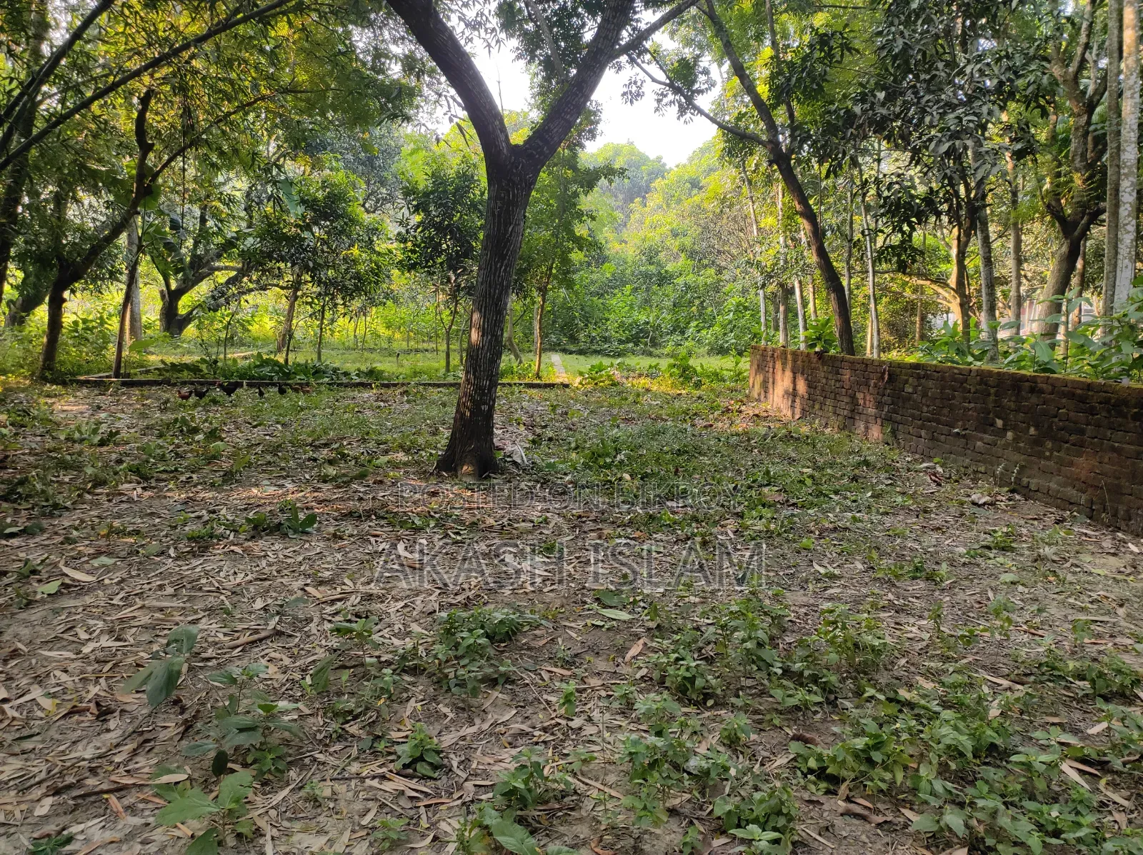 2 Katha Land