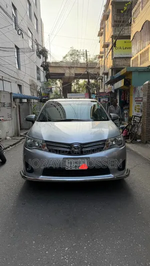 Toyota Axio 2013 Silver