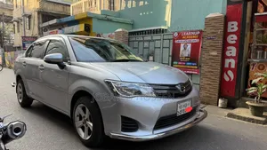 Toyota Axio 2013 Silver