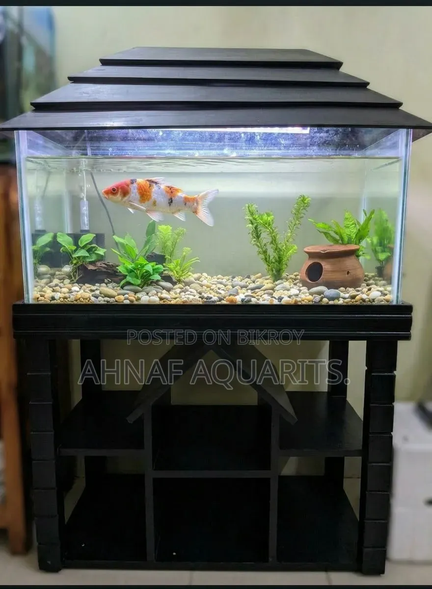 3 Feet Aquarium Set for Sale!