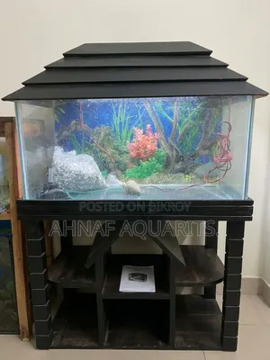 3 Feet Aquarium Set for Sale!