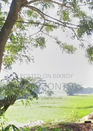 ভাল চাষের জমি বিক্রি করা হবে