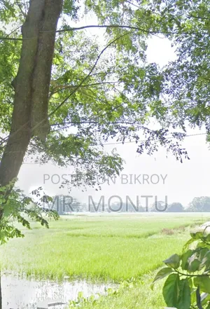 Good Farming Land Will Be Sold