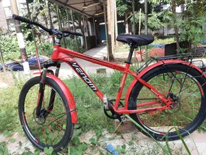 Non-Gear Bicycle