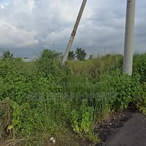 Photo - 3 Katha M Block Plot Sale in Bashundhara R/A