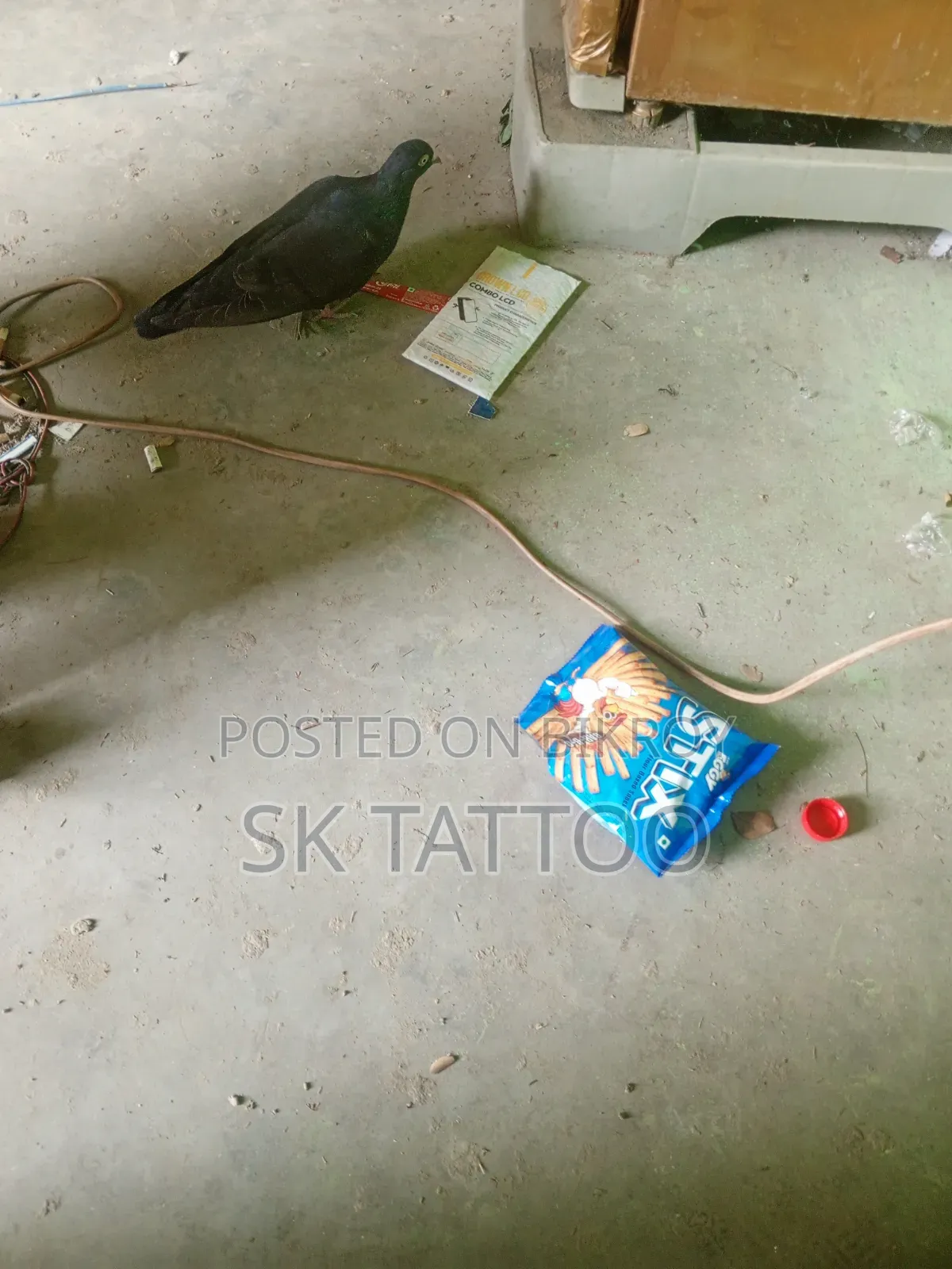 টেকনো স্পার্ক গো ৬৪ জিবি নীল