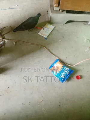টেকনো স্পার্ক গো ৬৪ জিবি নীল
