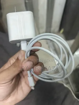 iPhone Charger