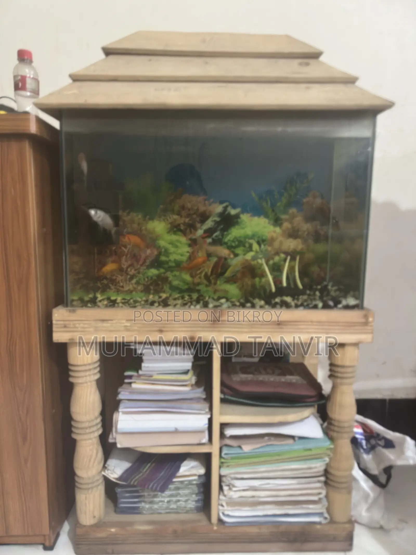 Aquarium With Fish