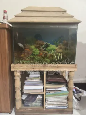 Aquarium With Fish