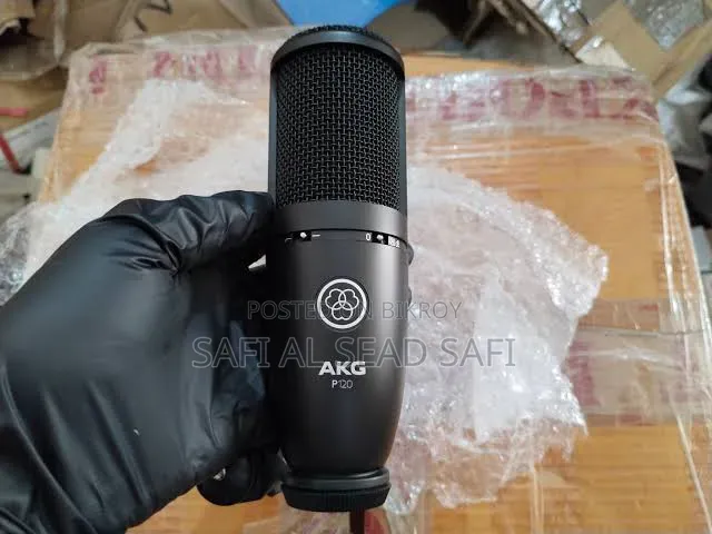 AKG P120 Condenser Studio Microphone