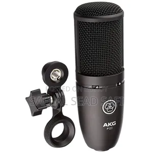 AKG P120 Condenser Studio Microphone