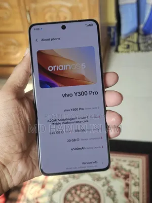 Vivo Y300 Pro 256 GB Silver