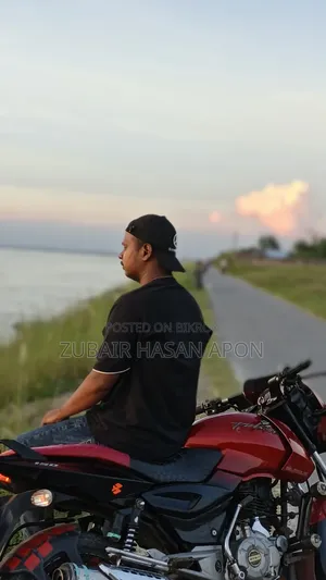 Bajaj Pulsar 150 2012 Red