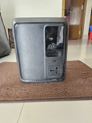 ইকোফ্লো পোর্টেবল আইপিএস ডেল্টা ৩ এয়ার ১০০০