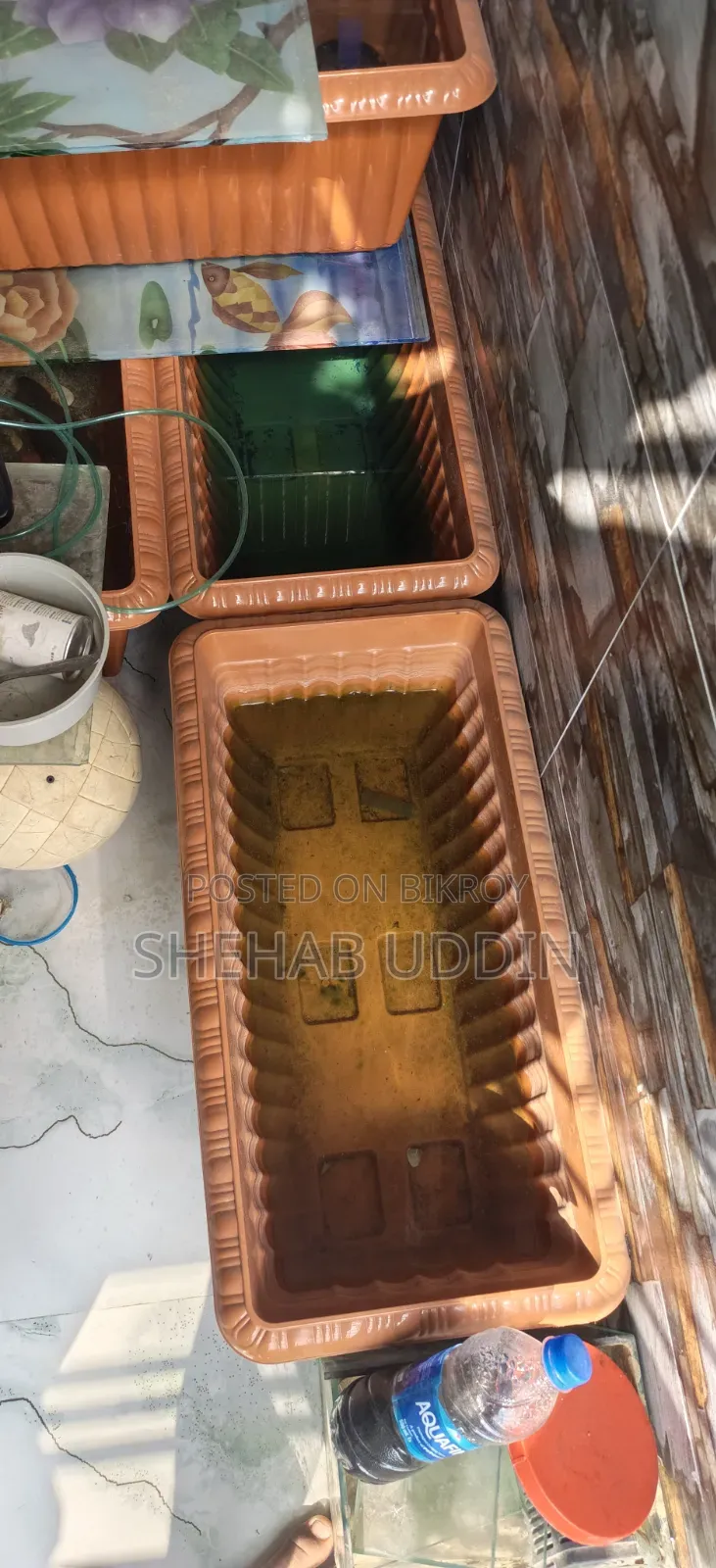 Flower Top for Aquarium Fish