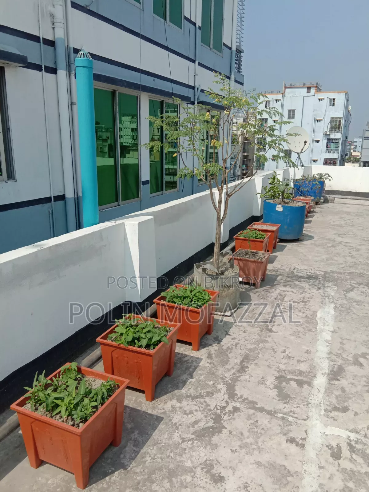 Roof garden soil with tubs, drums