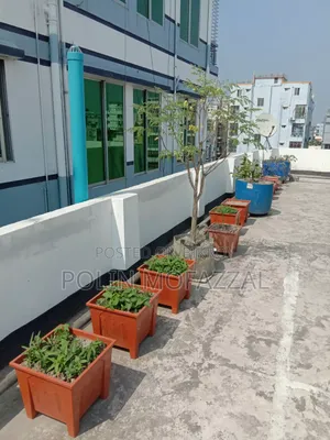 Roof garden soil with tubs, drums
