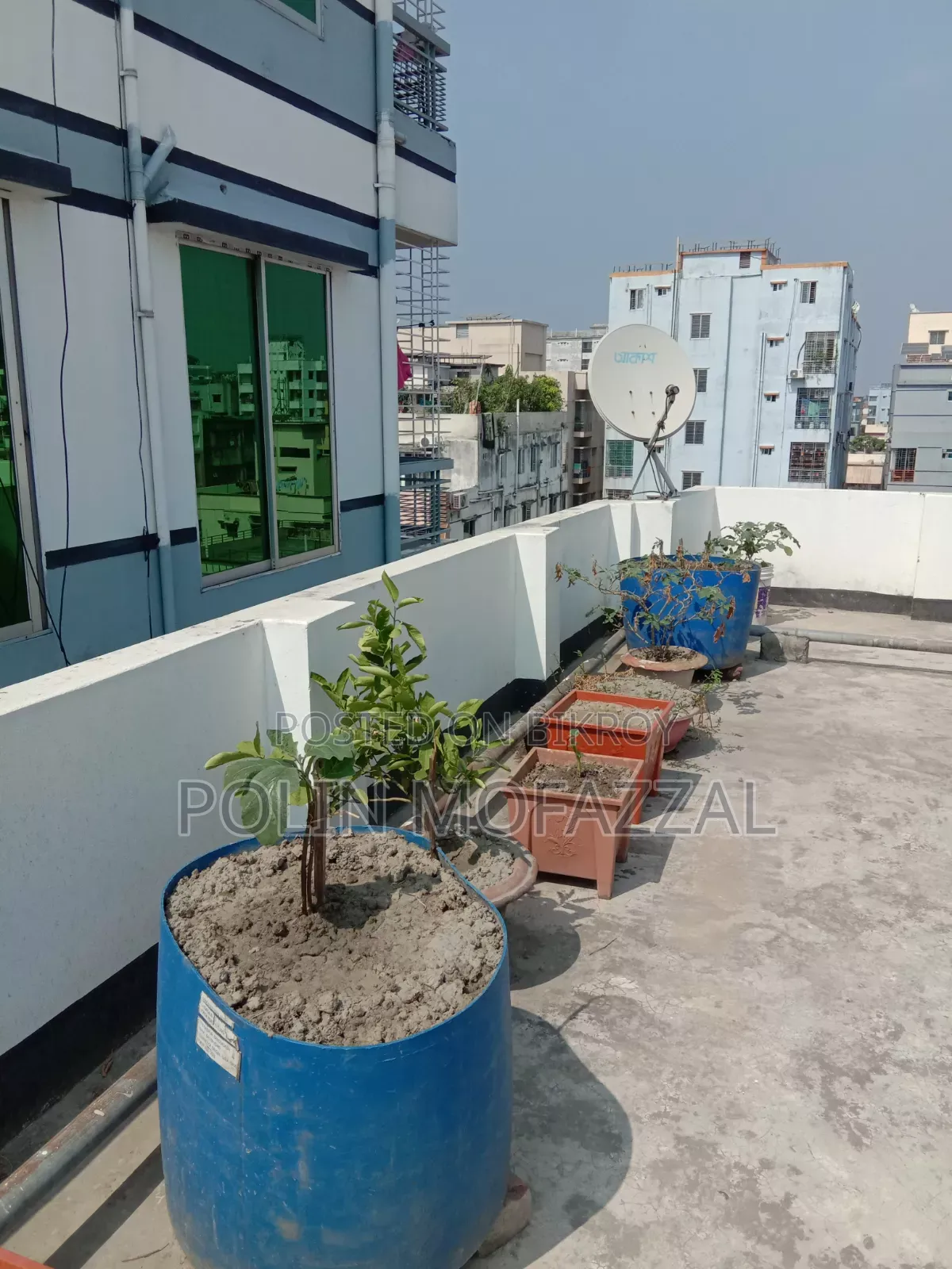 Roof garden soil with tubs, drums