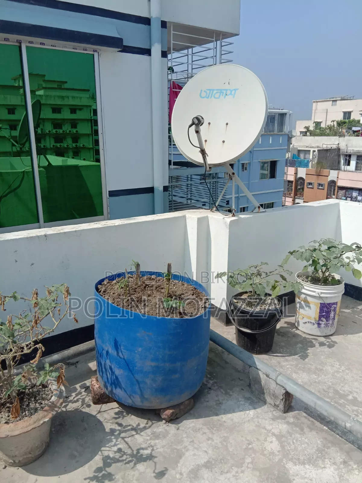 Roof garden soil with tubs, drums