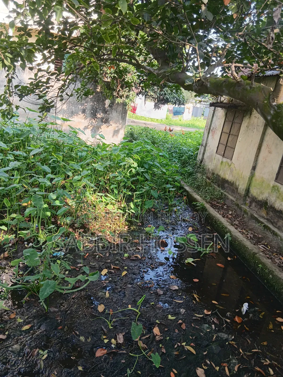 Two katha square land for sale