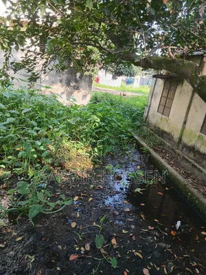 Two katha square land for sale