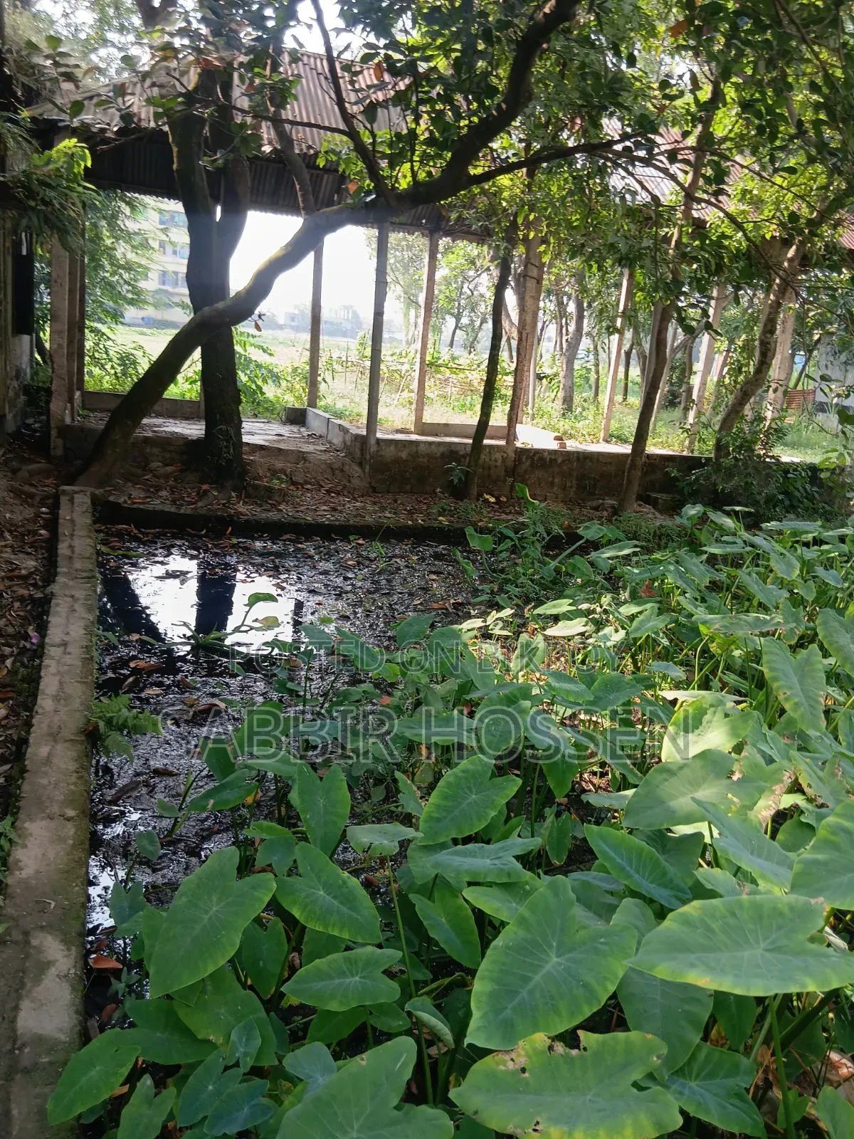 Two katha square land for sale