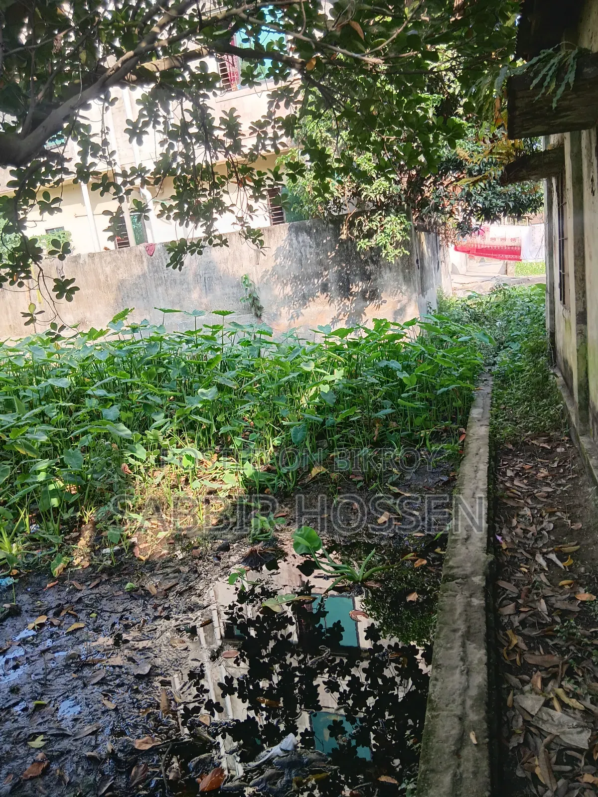 Two katha square land for sale