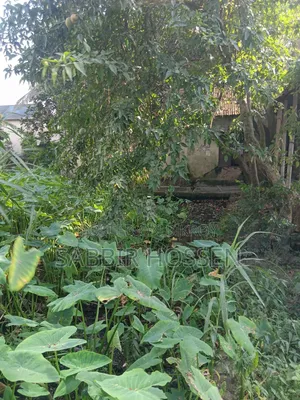 Two katha square land for sale