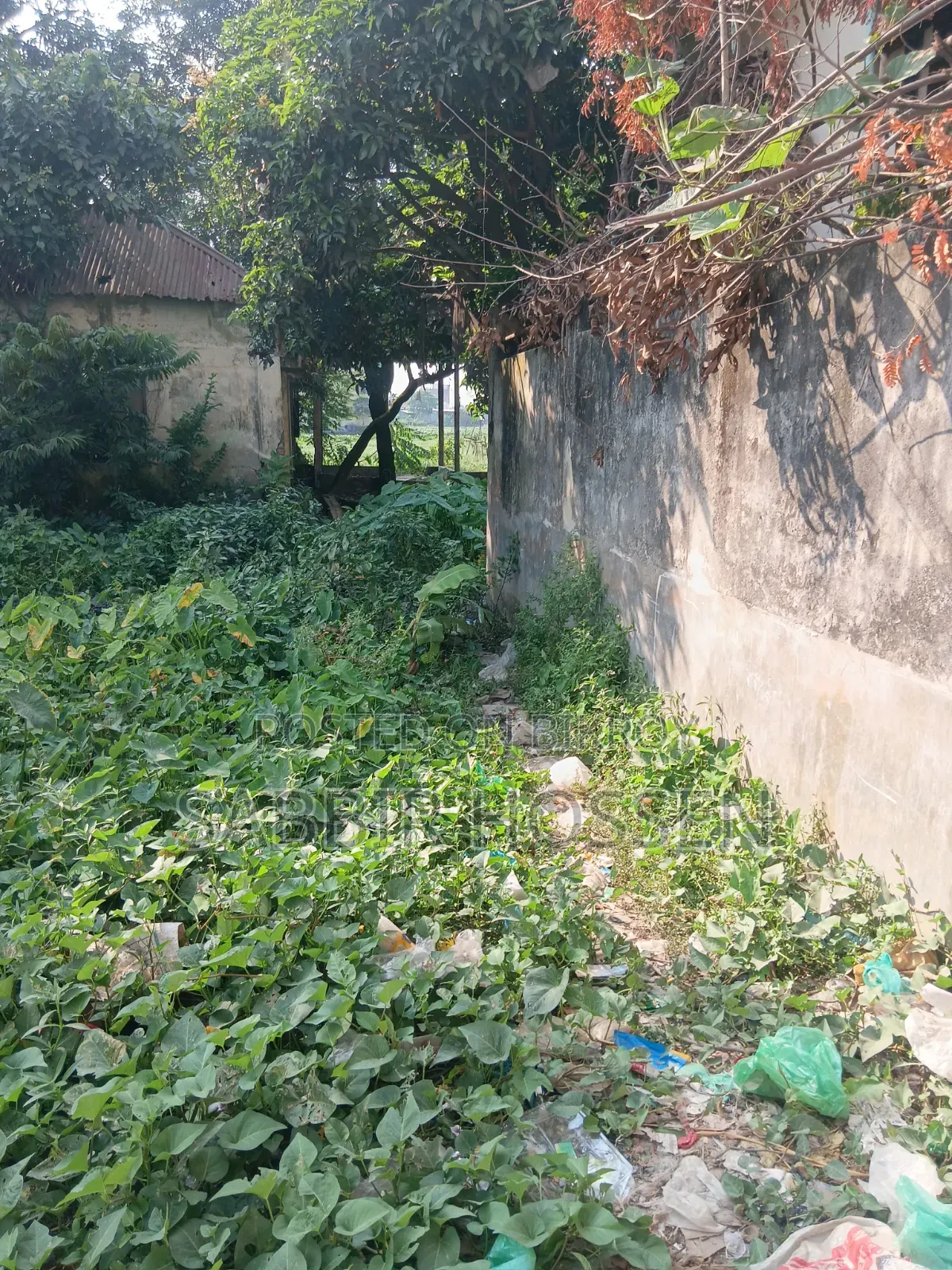Two katha square land for sale