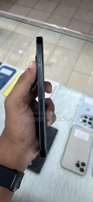 Apple iPhone 16 Pro Max 256 GB Black