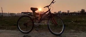 Bicycle, Bi Cycle